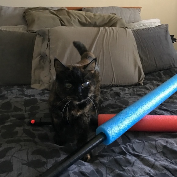 Meet your Posher, Holly - Picture 1 of 1